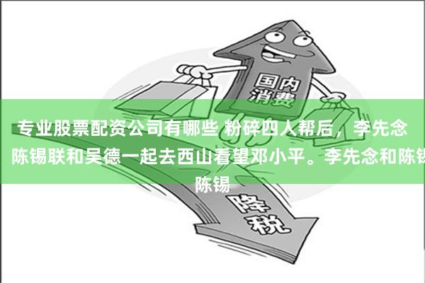 專業股票配資公司有哪些 粉碎四人幫后，李先念、陳錫聯和吳德一起去西山看望鄧小平。李先念和陳錫