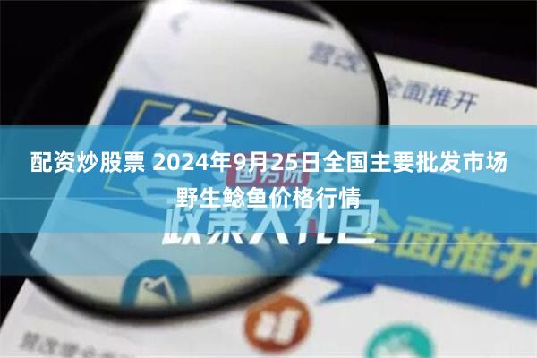 配資炒股票 2024年9月25日全國主要批發市場野生鯰魚價格行情