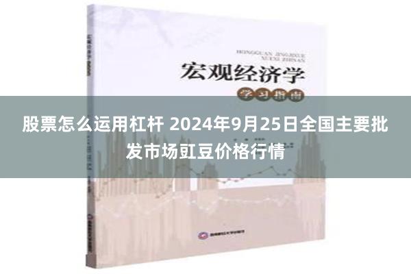 股票怎么運用杠桿 2024年9月25日全國主要批發市場豇豆價格行情