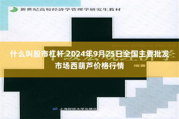 什么叫股市杠桿 2024年9月25日全國主要批發市場西葫蘆價格行情